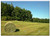 Triple Blank Wall Plate Cover - Hay Hay Bales Field Meadow Forest