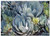 Triple Blank Wall Plate Cover - Succulent Plants Nature Green Cactus Decoration