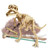 Dig A Dino Tyrannosaurus Rex