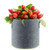 Okngr Aeration Plant Fabric Pot 30 Gallon Heavy Duty Thickened Nonwoven Fabric Pots with Handles Plant Grow Bags for Potato Strawberry Plants Vegetables