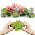 LIATODRAW Mini Artificial Succulents Plants Faux Succulent Fake Succulent- 16 Pcs Unpotted Faux Flocking Succulent Fake Plants for Home and Garden Arrangement Decoration