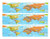 World Map Birthday - Cake Side Designer Strip - Edible Cake Cupcake Party Topper