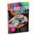 Craft-tastic  Mini Iridescent Bowls  Craft Kit Makes 3 Different-Sized Tiny Glitter Bowls