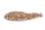 Florida Herbal Pharmacy Spiny Restharrow Root C s 4 Oz