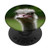 Ostrich PopSockets PopGrip Swappable Grip for Phones  and  Tablets