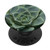 Succulent Plant PopSockets PopGrip Swappable Grip for Phones  and  Tablets