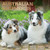 BrownTrout 2021 Australian Shepherds Wall Calendar