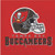 Tampa Bay Buccaneers Napkins 48 ct