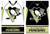 Team Sports America Pittsburgh Penguins Jersey Garden Flag - 13 x 18 Inches