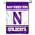 College Flags  and  Banners Co. Northwestern Wildcats Garden Flag