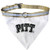 Pittsburgh Panthers Pet Collar Bandana - Small