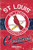 St Louis Cardinals EG Vintage Garden Flag Premium 2-Sided Retro Banner Baseball