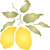 Lemon Stencil 6.5 x 6.5 inch - Classic Fruit Kitchen Stencils for Painting Template
