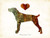 Mountain Cur Dog Breed Watercolor Art Print by Dan Morris