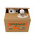 LOBZON Automatic Stealing Coin Cat Kitty, Piggy Bank, Money Box