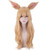 Weite Women Girls Cute LOL KDA Ahri Cosplay Full Wig Long Curly Blonde Ears Anime Hair Premium Replacement Hair Heat Resistant Fiber Daily Party Wigs  Gold Weite Women Girls Cute LOL KDA Ahri Cosplay Full Wig Long Curly Blonde Ears Anime Hair Premium Replacement Hair Heat Resistant Fiber Daily Party Wigs  Gold