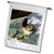 3dRose Alexis Photography - Objects Military - Napoleon Wars era. Vintage Pocket Watch on a Military Order and a map - 12 x 18 inch Garden Flag  fl_304550_1 3dRose Alexis Photography - Objects Military - Napoleon Wars era. Vintage Pocket Watch on a Military Order and a map - 12 x 18 inch Garden Flag  fl_304550_1