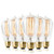 Vintage Incandescent Edison Light Bulbs: 60 Watt, 2100K Warm White Lightbulbs - E26 Base - Dimmable Antique Filament Light Bulb Set - 6 pack