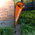 College Flags  and  Banners Co. Oregon State Beavers Small Feather Garden Flag