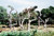 Dead Trees N Scale Woodland