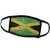 3dRose National Flag of Jamaica Painted onto a Brick Wall Jamaican - Face Covers  fc_156913_1