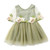Shan-S Summer Baby Girls Princess Dress Tulle Flower Dress Children Tutu Mesh Pageant Birthday Party Dresses Clothes Shan-S Summer Baby Girls Princess Dress Tulle Flower Dress Children Tutu Mesh Pageant Birthday Party Dresses Clothes