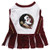 Florida State Seminoles Cheerleader Pet Dress - Small