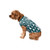 FOCO Philadelphia Eagles NFL Busy Block Dog Sweater - L
