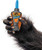 Gorilla Micro Precise Super Glue 5 Gram Clear  2 Pack of 1