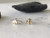 Bumble Bee Stud Earrings
