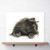 Norwegian Forest Cat Watercolor Print