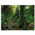 ScottDecor Forest Underwater World Backdrop Rain Forest Scenery with River in The North Forest in The Early Morning Humid Fog Print PVC Self-Adhesive Decor Wall Green W24 x L16 Inch