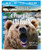 Nature  Extraordinary Animals - Bears  and  Wolves  Two-Disc