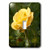 3dRose lsp_78977_1 Pretty yellow rose Single Toggle Switch