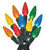Celebrations 47866-71 LED 150 Multi-Color C6 Indoor/Outdoor Lights