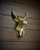 Moose Hook Cast Iron Hook Gold or Pick Color Cabin Rustic Lodge Wall Decor