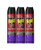 Raid Ant  and  Roach Killer Lavender Scent 12 OZ  Pack - 3