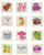 RINCO Temporary Assortment Tatoo Bulk Pack (720 Piece)