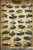 Tanks of World War II Poster  24x36"