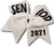 Cheer Bows White Senior 2021 Graduation Hair Bow