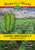 Green Chile Heritage NuMex 6-4 - 30 Seeds- Mild - NonGMO