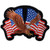 Hot Leathers Eagle 2 Flags Hook and Loop Patch -Multicolor 4 inch Width x 3 inch Height-