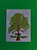 Tree Hugger Sticker Tree Hugger Earth Sticker Environmental Sticker Climate Change Sticker