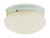 Trans Globe Lighting PL-3620 WH Indoor Dash 10" Flushmount, White