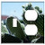2-Gang Toggle Outlet Combination Wall Plate Cover - Cactus Plant Green Nature Succulent Desert Cacti
