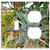 2-Gang Toggle Outlet Combination Wall Plate Cover - Agave Cactus Prickly Thorns Green Pointed Plant