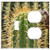 2-Gang Toggle Outlet Combination Wall Plate Cover - Cactus Spur Green Prickly Plant Thorns Nature 4