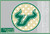 USF BULLS BULL HORNS on POLKA DOT CIRCLE 6 inch Vinyl Decal South Florida Car Truck Sticker