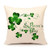 SPXUBZ St. Patricks Day Green Three-Leaf Variety Clover Pillow Cover Decorative Home Decor Nice Gift Square Indoor/Outdoor Pillowcase Size 20x20 Inch-Two Sides-