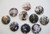 10 Japan Anime D Gray Man  and  Characters Plastic Button Set ~1.75 inch Big~